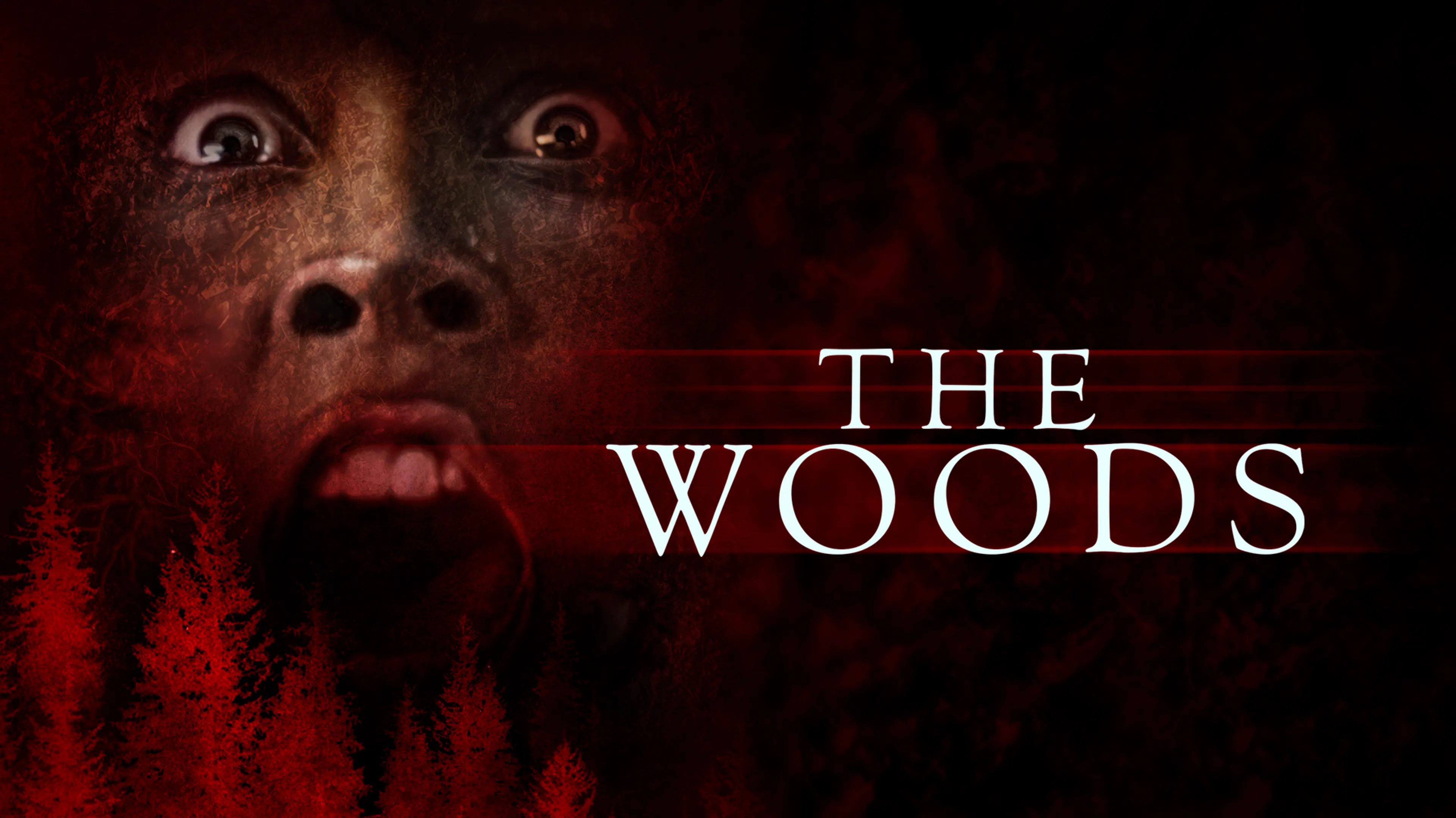 The Woods poster